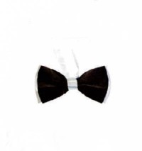 BT021 design two color matching tie for men and women bridegroom's best man evening performance collar tie manufacturer front view